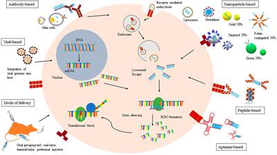 RNA Interference and Nanotechnology: A Promising Alliance for Next Generation Cancer Therapeutics